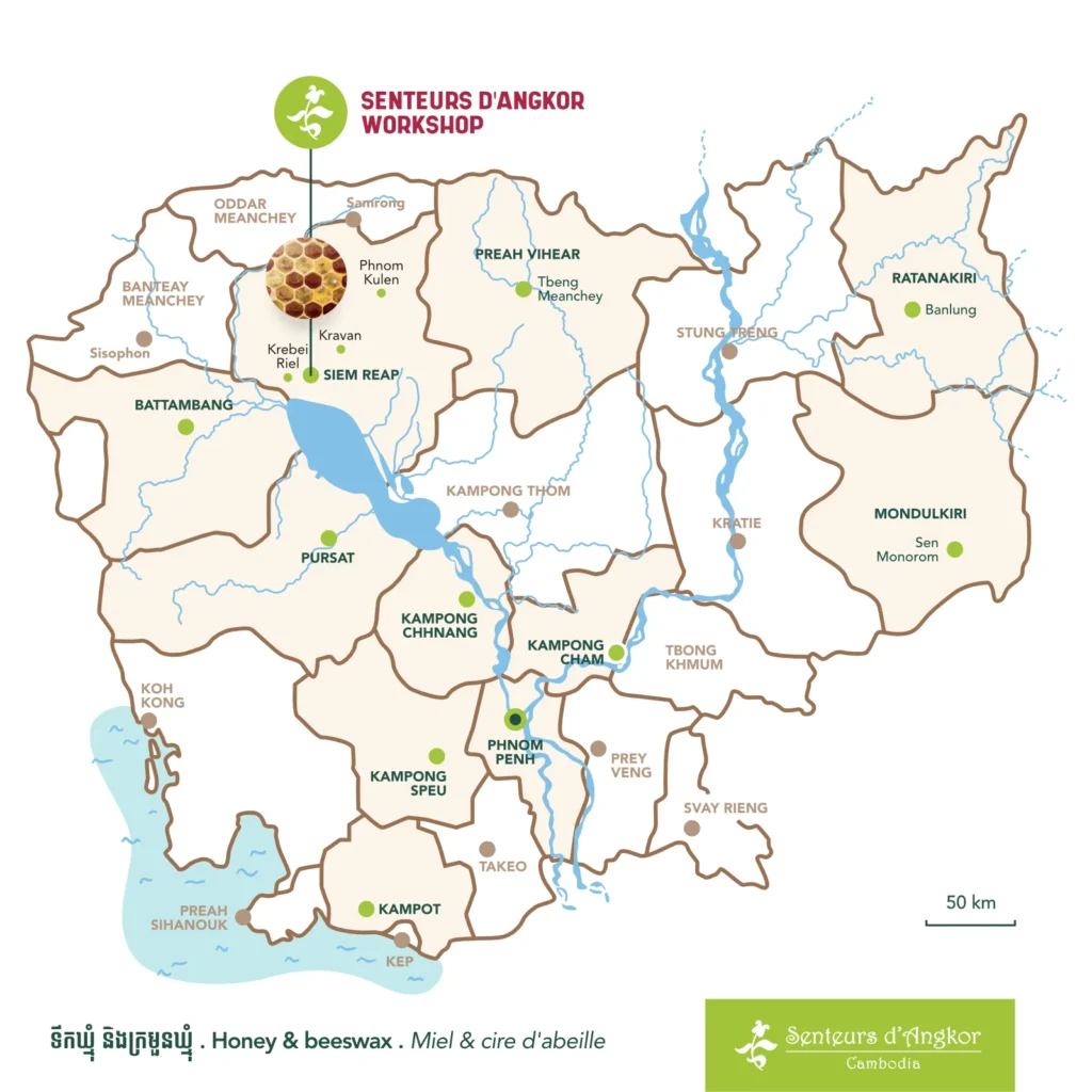 Raw honey originates from Siem Reap Region