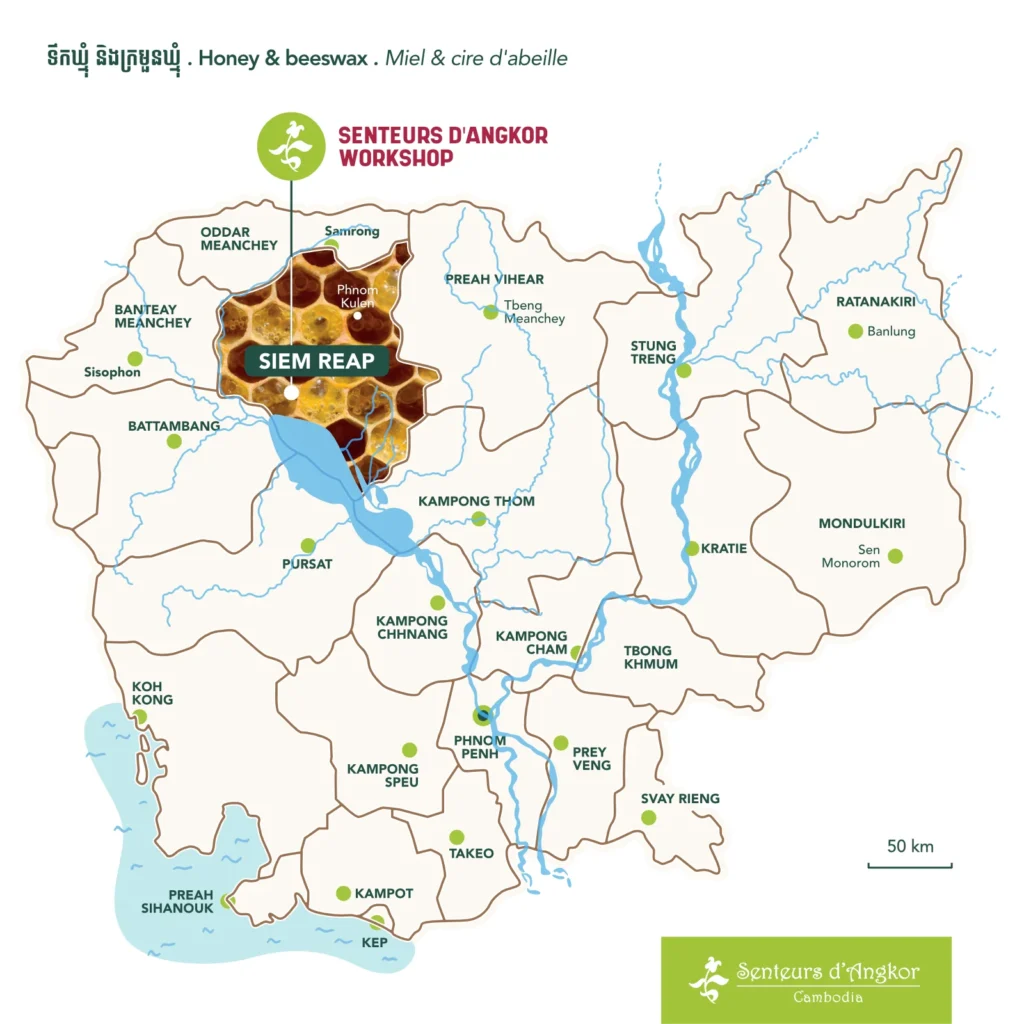 Raw honey originates from Siem Reap Region