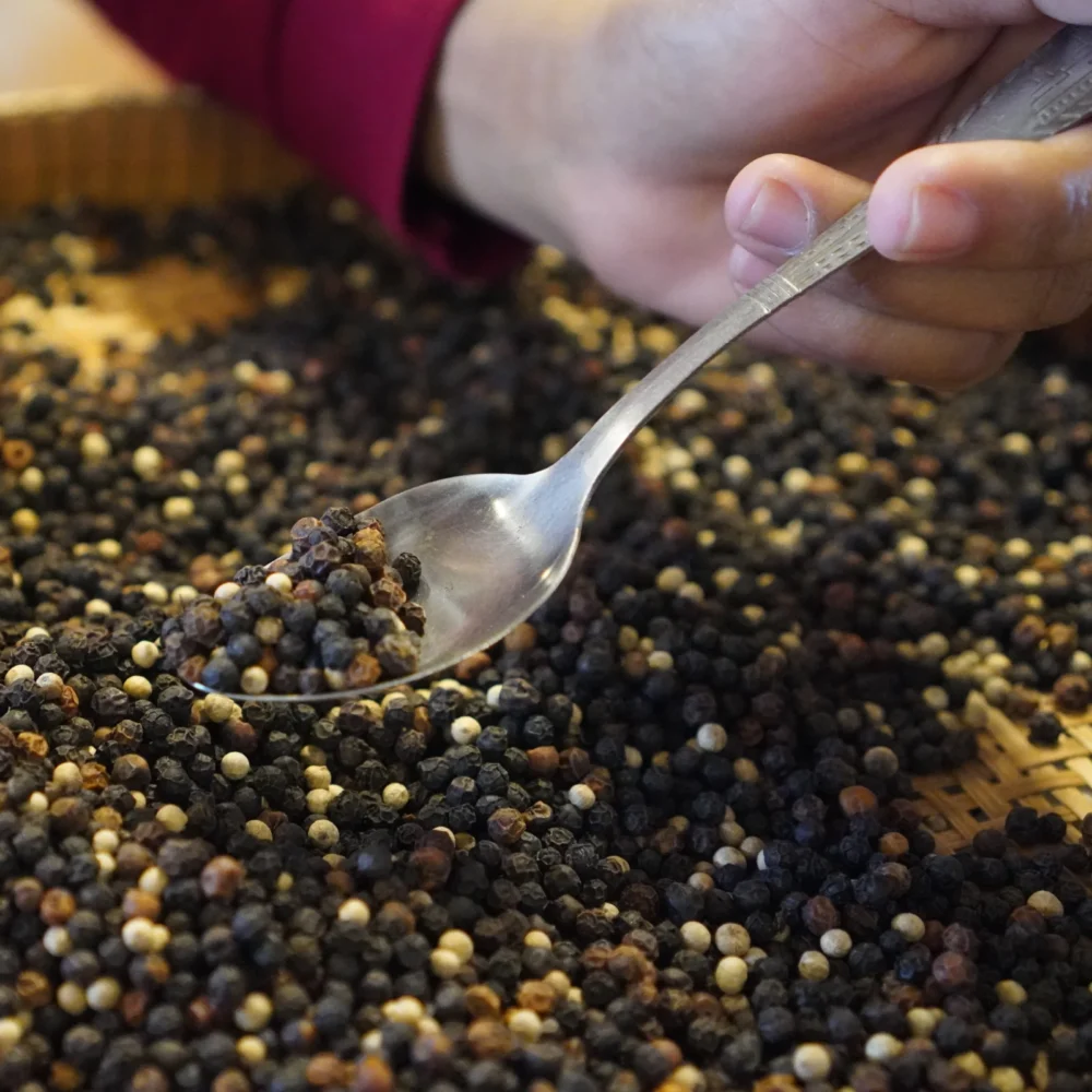 Kampot pepper, whole mixed, pepper close up