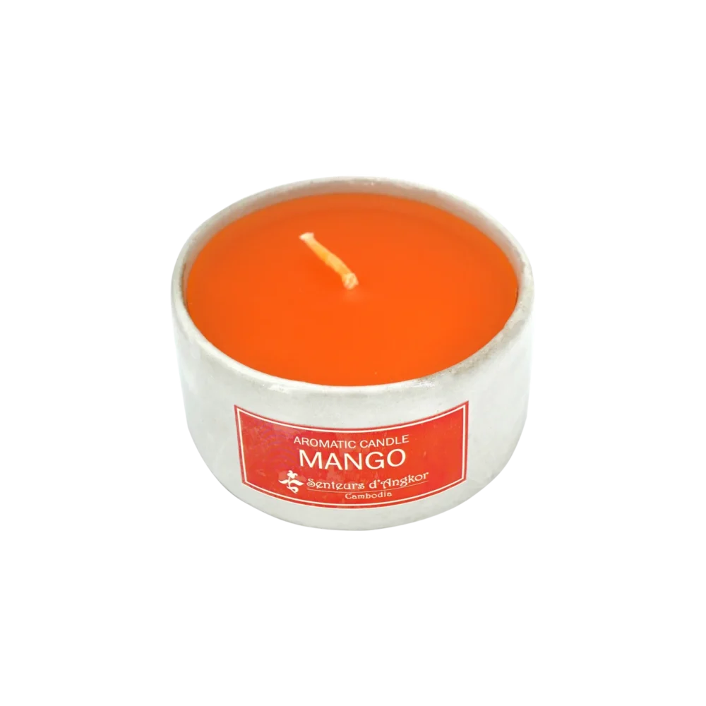 Candle in ceramic, mango scent