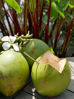 Fresh coconut water with a stainless steel straw