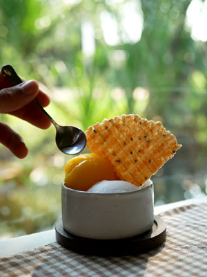 Home made mango and coconut ice cream in a white ceramic cup with a home made crispy cone piece