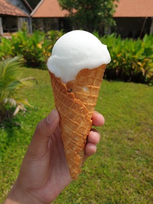 Coconut ice cream in a home made crispy cone