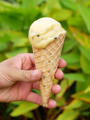 Home made passion ice cream in a home made crispy cone