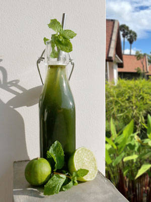 Home made spirulina juice in a glass bottle with a stainless steel straw