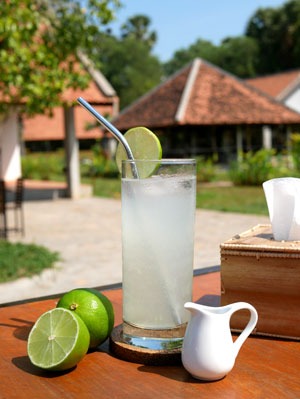 Home made lime juice in a glass with a stainless steel straw