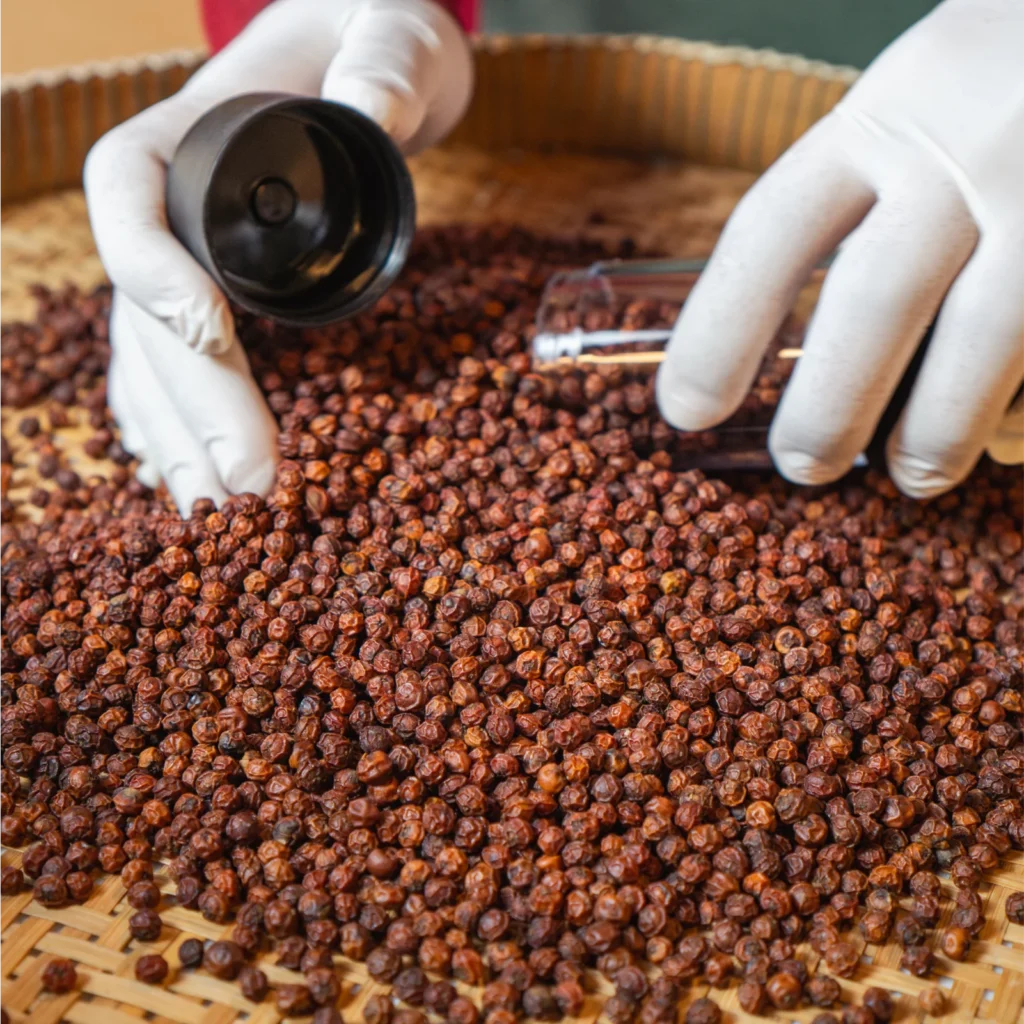 woman packing red kampot pepper into grinder