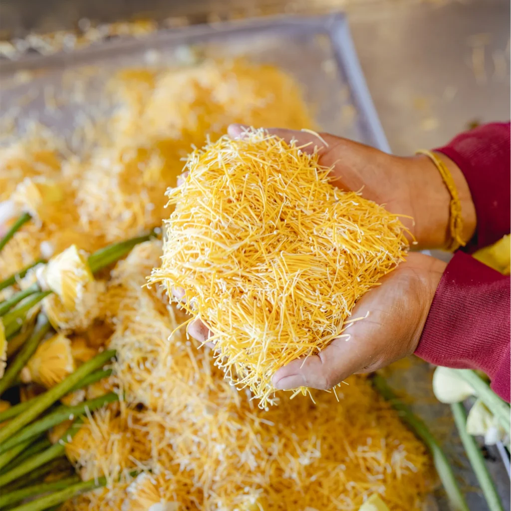 Artisan holding a bunch of lotus stamen in her two hands.