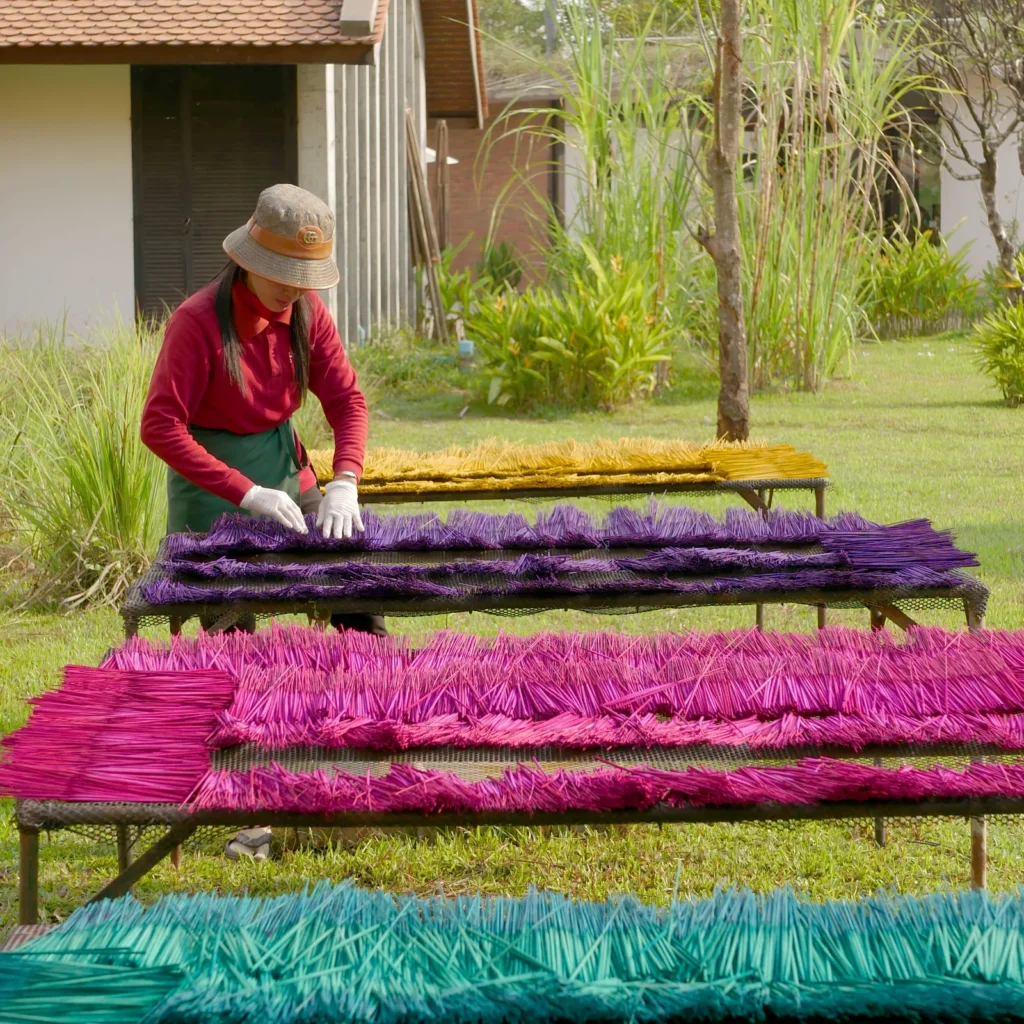 Incense sticks drying, all scents