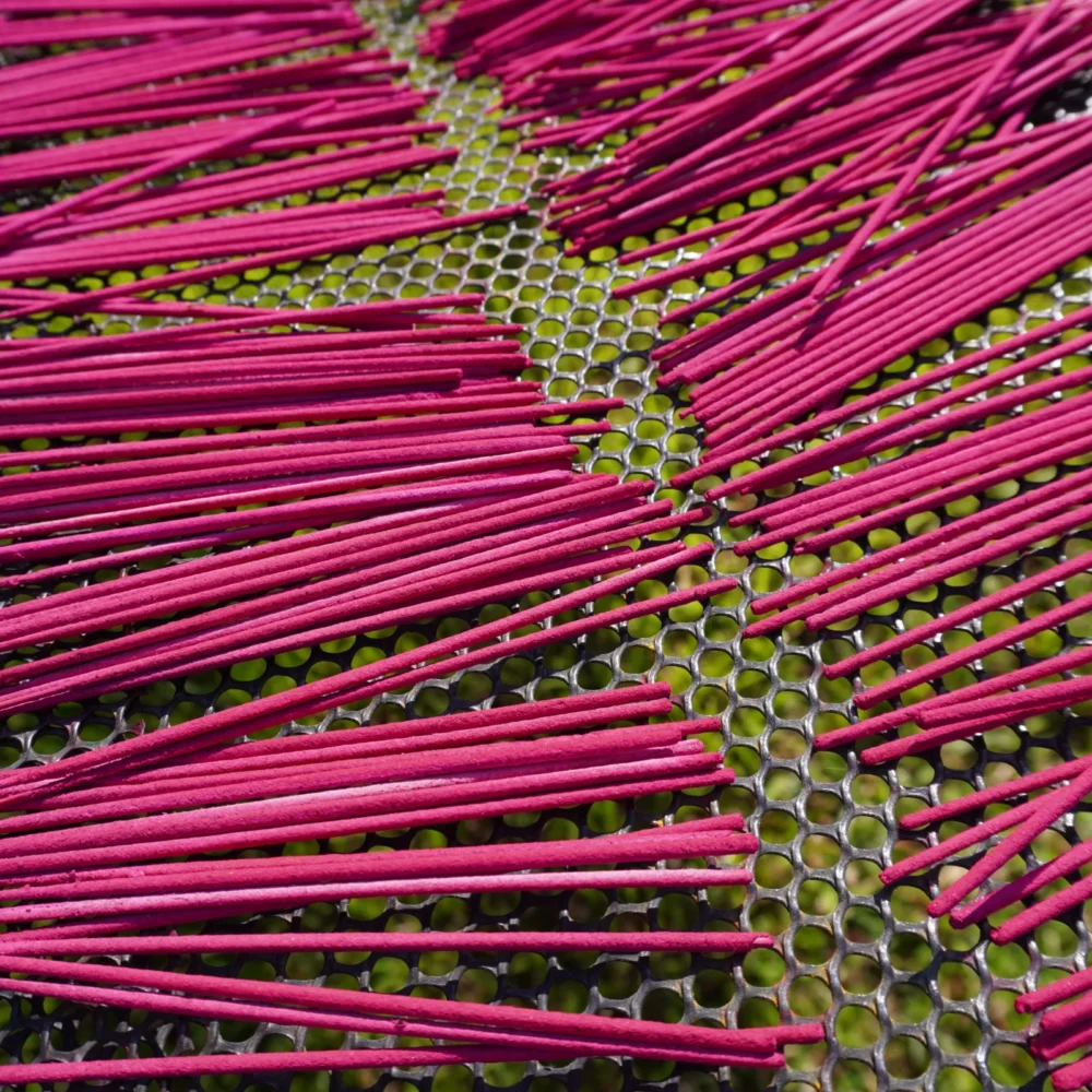 Incense sticks dried and ready to pack