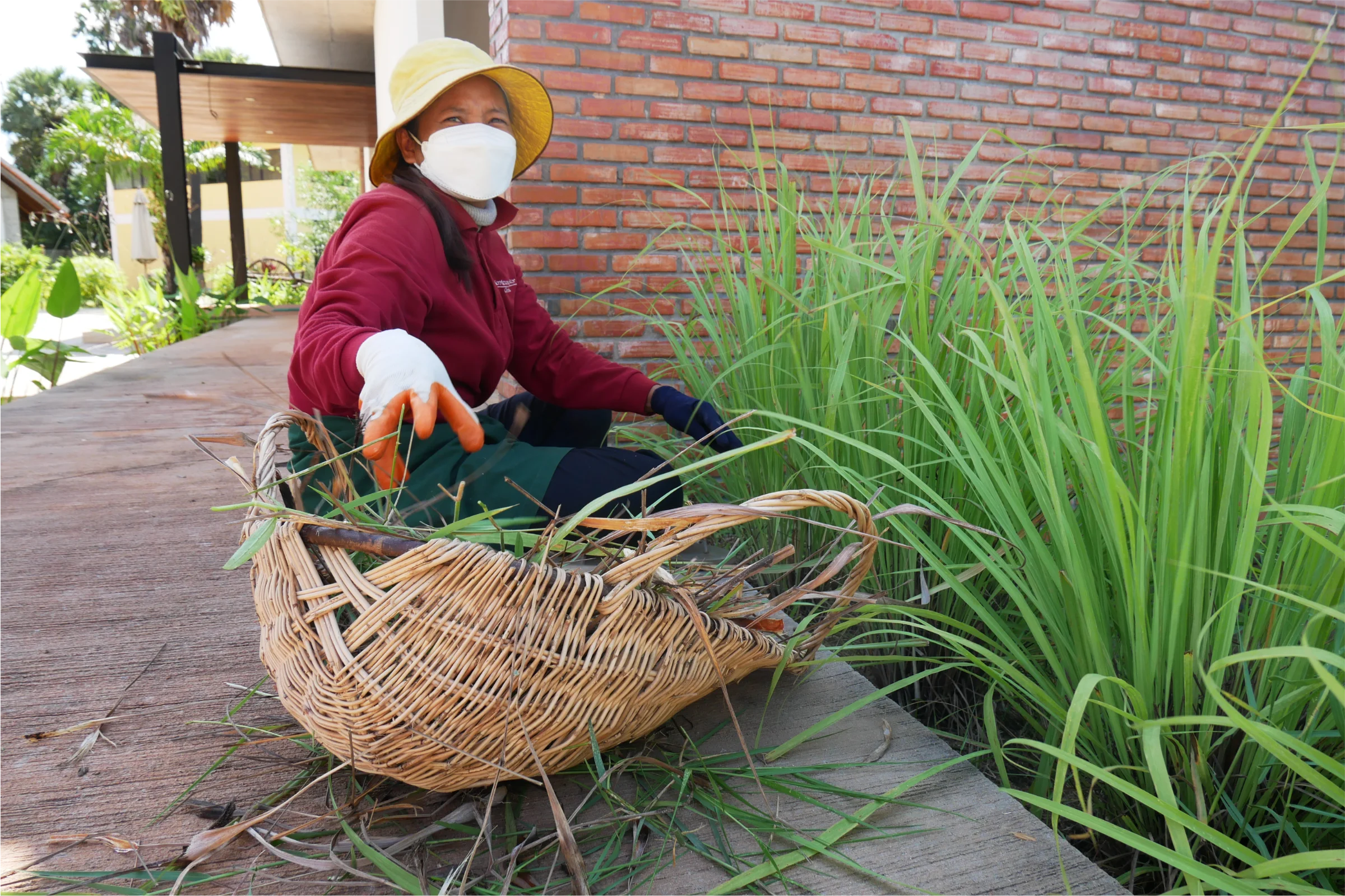 Workshop improvement project: day 2