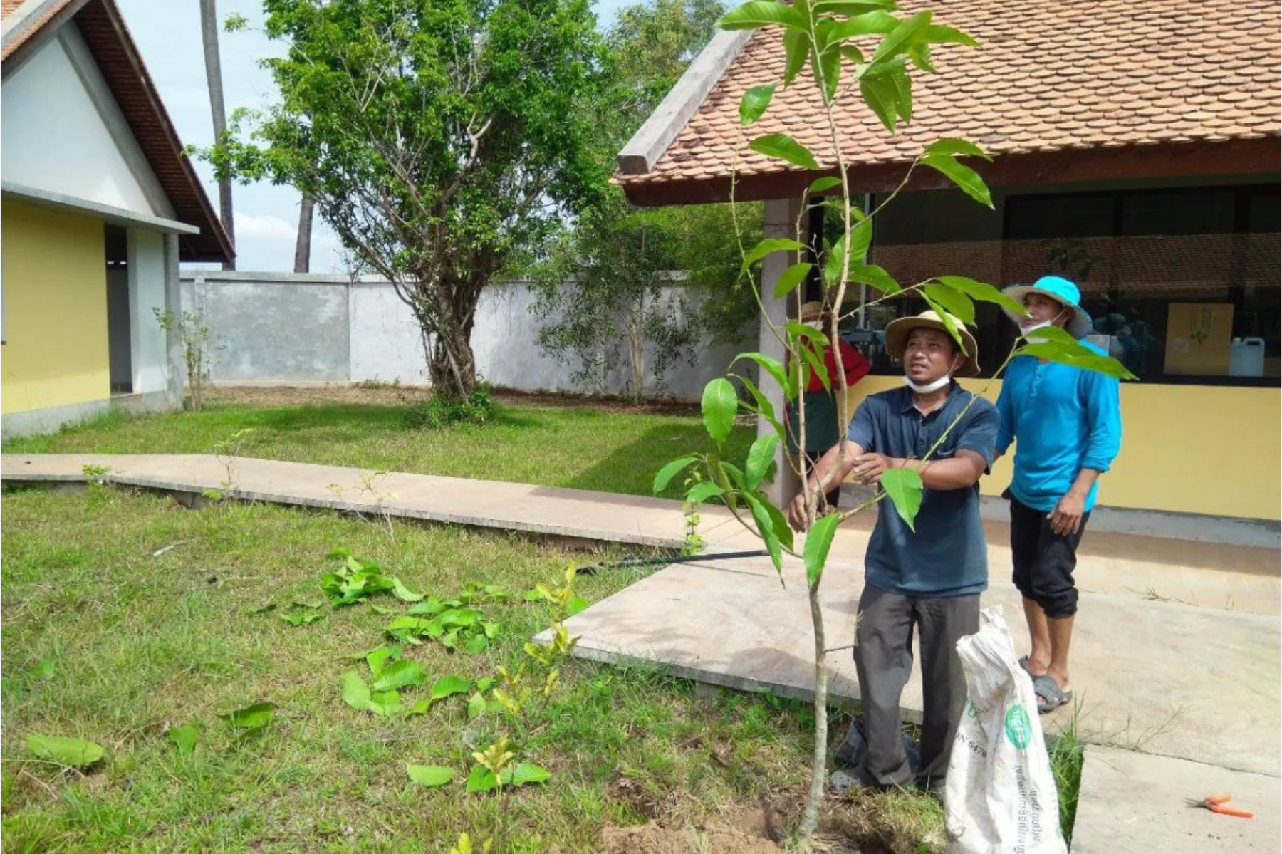 Workshop improvement project: day 4