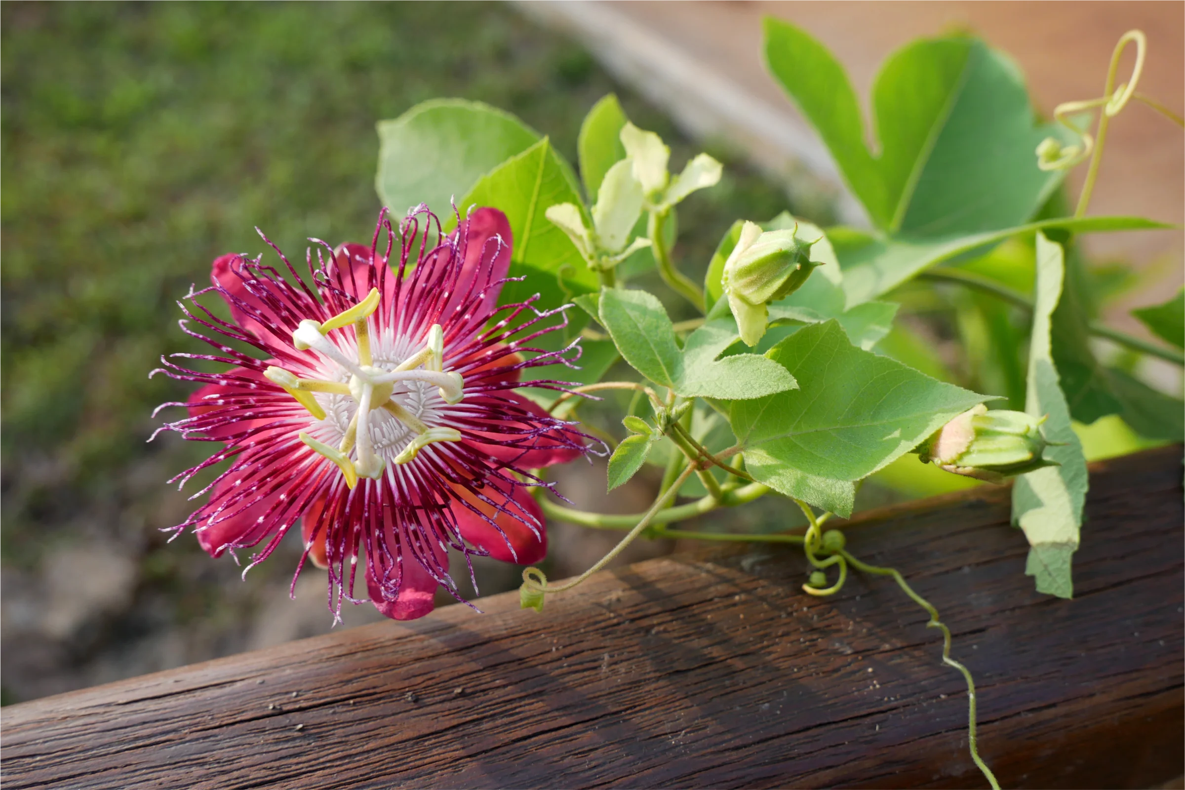 Workshop improvement project: day 7