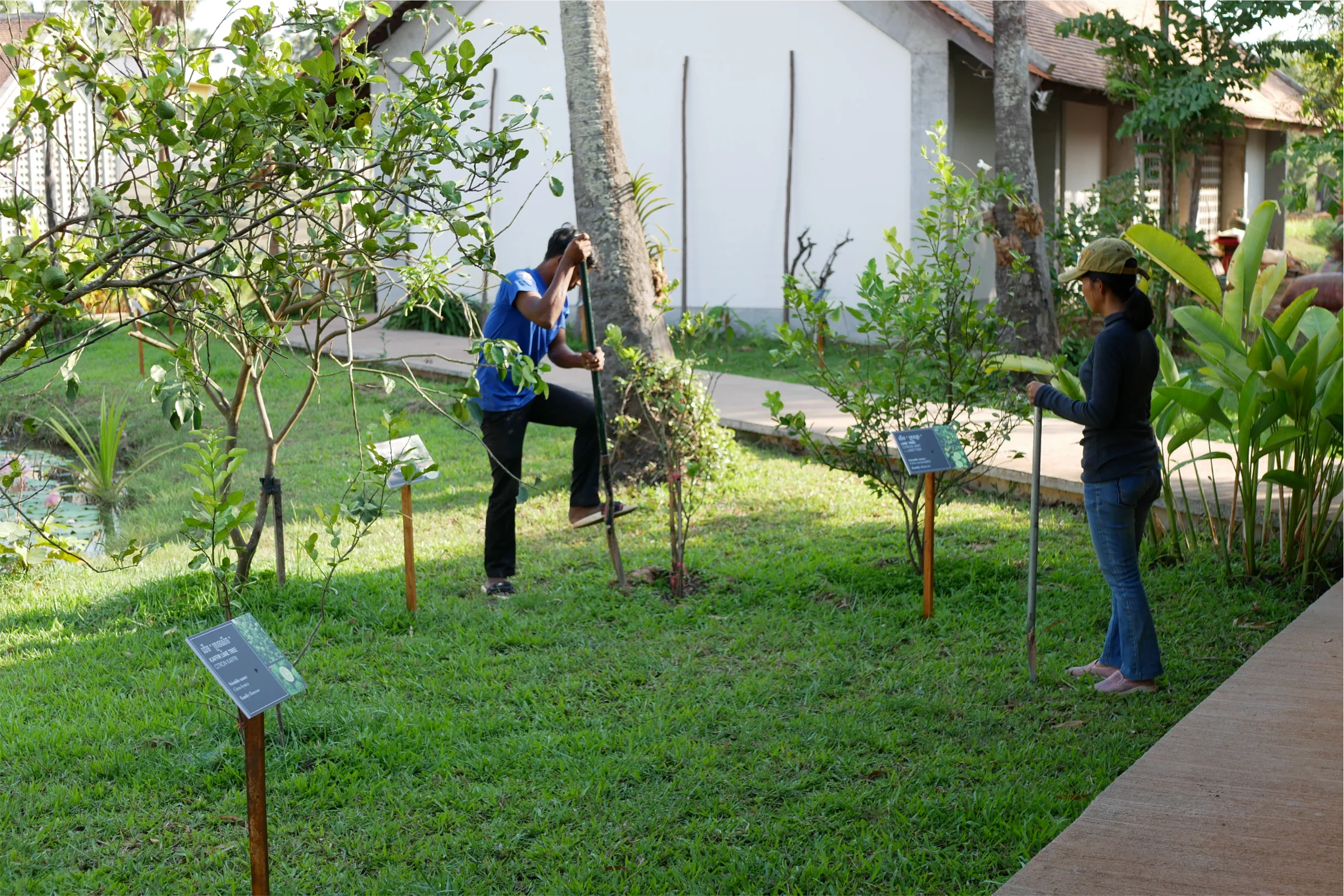 Workshop improvement project: day 10