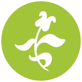 Senteurs d'Angkor icon.