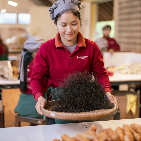 A woman at the Senteurs d'Angkor is pouring coffee beans into a grinder in a workshop.