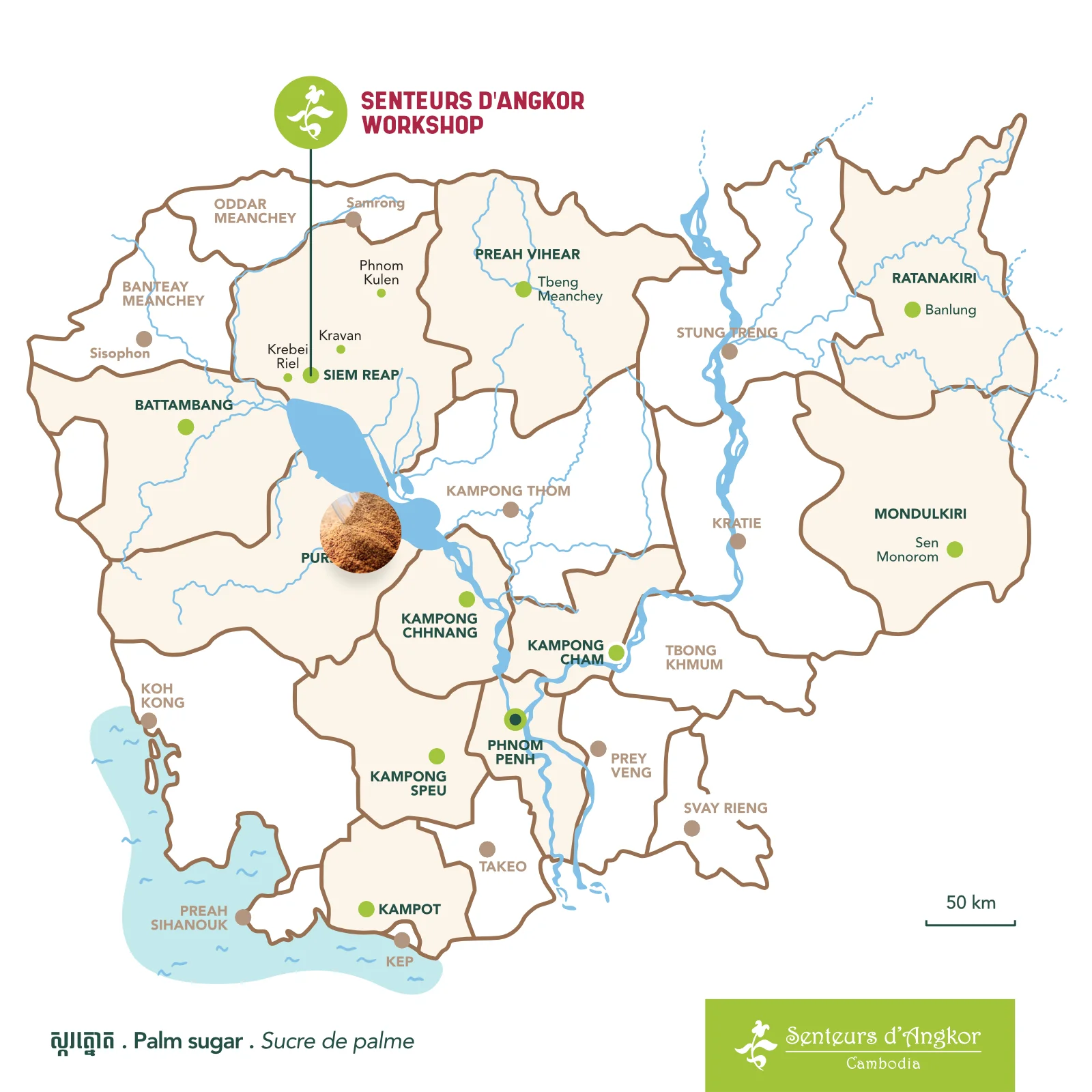 Palm Sugar origin from Cambodia