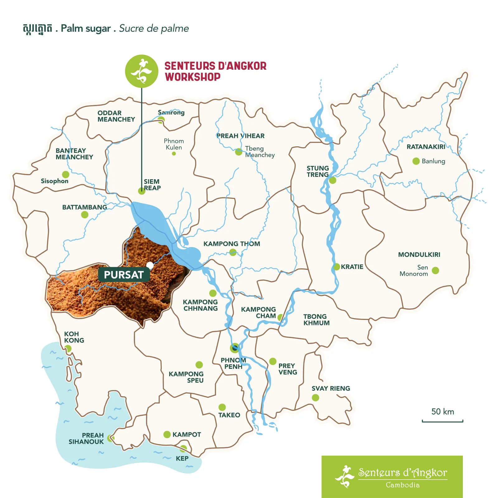 Palm Sugar origin from Cambodia