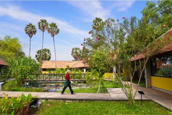 Free visit and guided tour