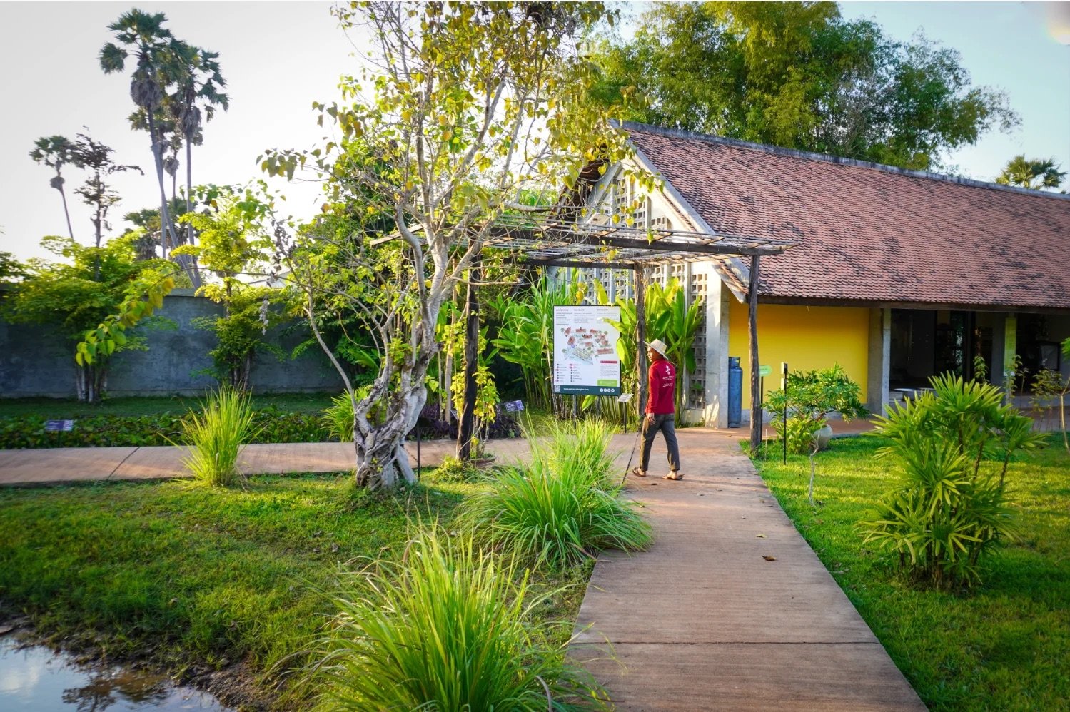 The Healing Power of Plants: Traditional Remedies and Modern Uses at Senteurs d’Angkor