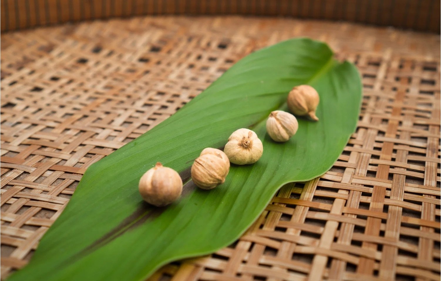 The Warm Spice of the Cambodian Hills: Cardamom