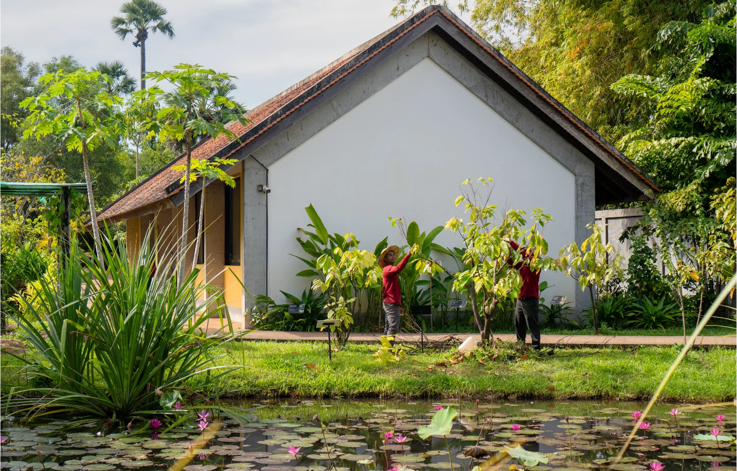 Seasonal Treasures: Tropical Fruits at Senteurs d’Angkor